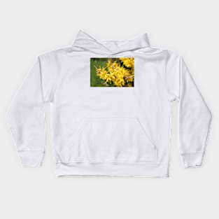 Forsythia Kids Hoodie